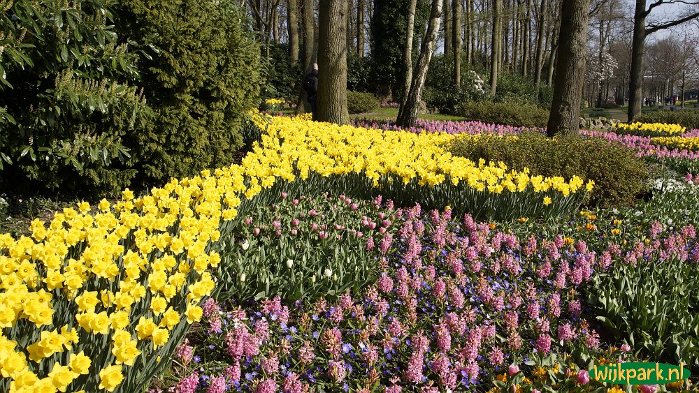 Keukenhof 2022