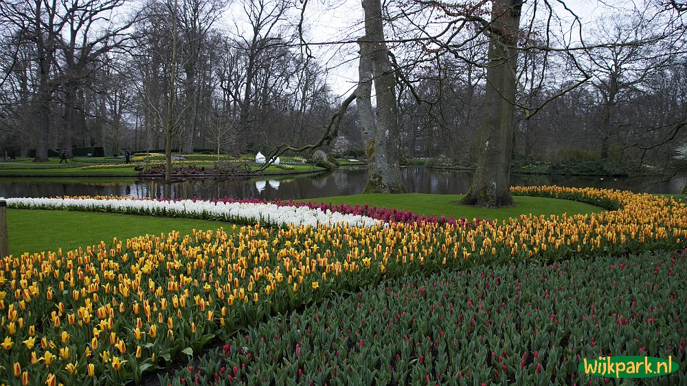 Keukenhof Lisse