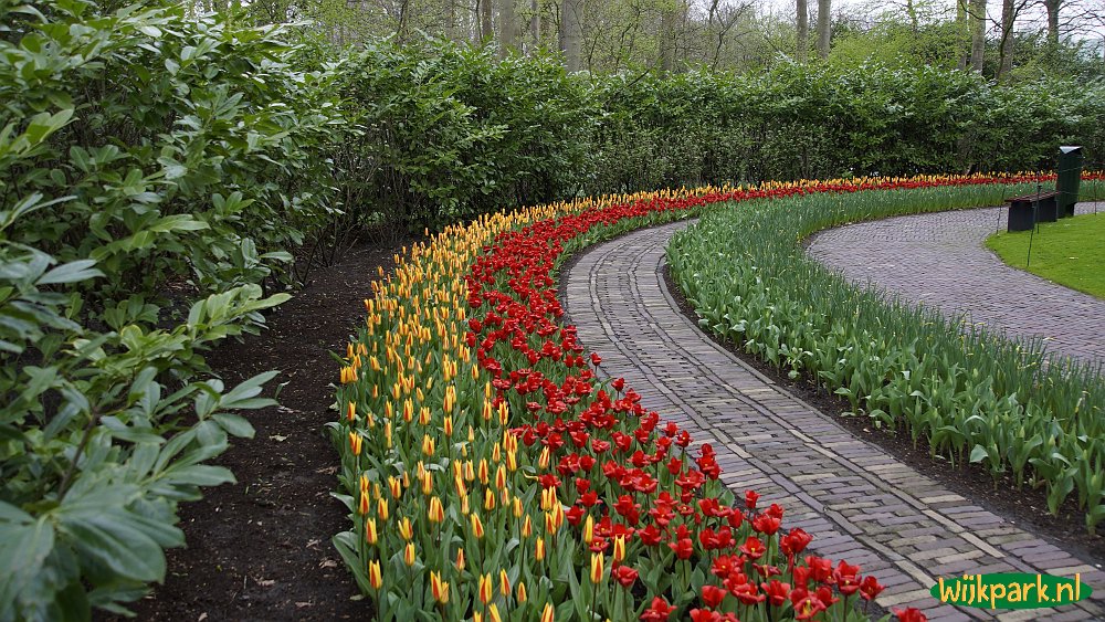 Keukenhof 2023 Lisse